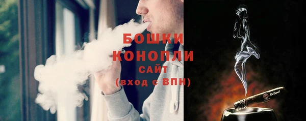ПСИЛОЦИБИНОВЫЕ ГРИБЫ Михайлов