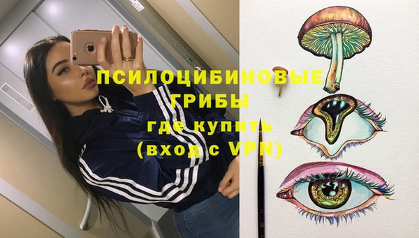 бошки Медногорск