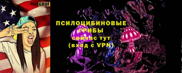 бошки Медногорск