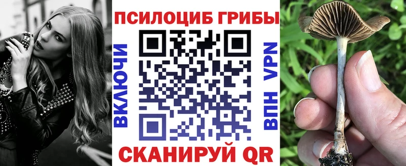 Псилоцибиновые грибы прущие грибы  Купить  Новый Оскол 